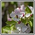 47Aprile 002 - 89,1 KB
