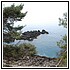 49 Aprile 012 - 203 KB