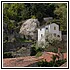 49 Aprile 021 - 227 KB