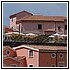 49 Aprile 024 - 132 KB