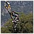 Motoraduno 079 100410 - 94,7 KB