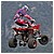 Motoraduno 085 100410 - 65,7 KB