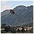Motoraduno 142 100410 - 91,2 KB