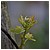 Primavera 01 030410 - 48,0 KB