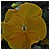 Primavera 010410 10 - 53,8 KB