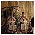 Concerto Banda Maratea 060.jpg(4,56 MB)