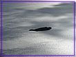 2003_12_15 025.jpg(318 KB)
