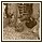 08 Dicembre 027 - 160 KB