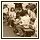 09 Dicembre 075 - 107 KB