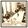 10 Dicembre 073 - 160 KB