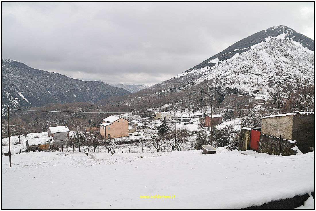 90 Carnevale 2010 016.JPG