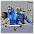90 Carnevale 2010 154 - 115 KB