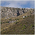 40 211009 051 - 246 KB