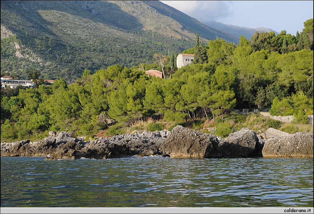 Mare nord 291009 007.jpg