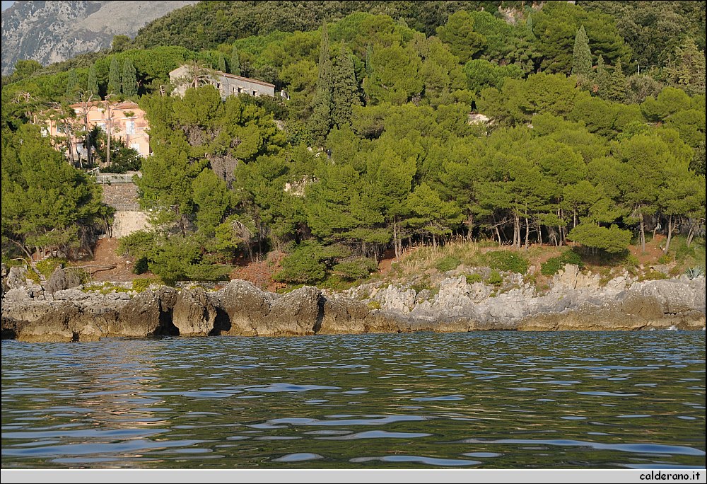 Mare nord 291009 009.jpg