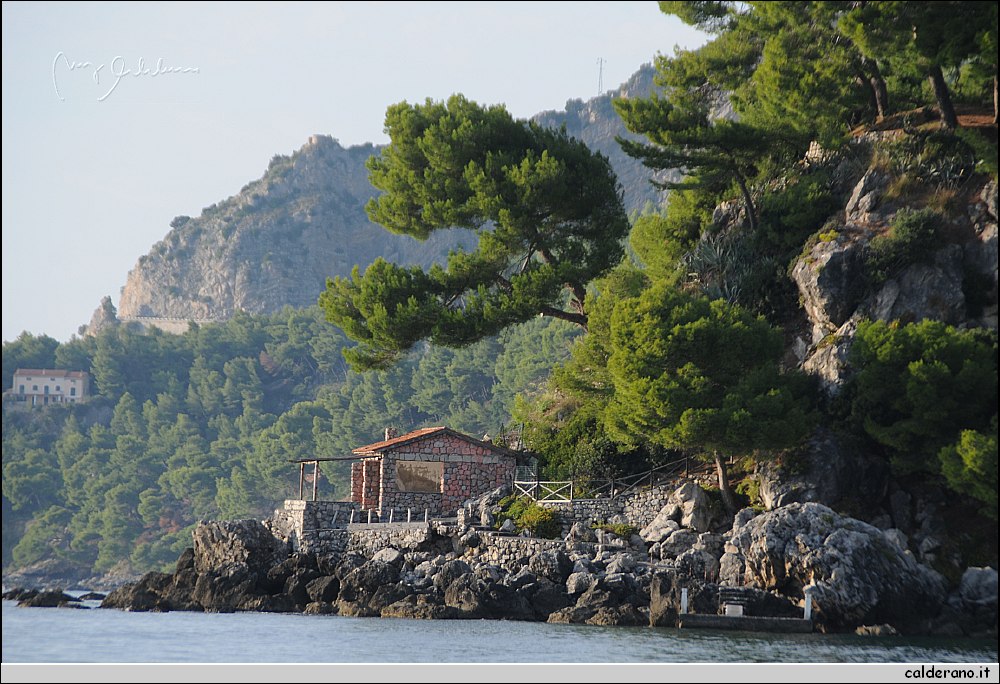 Mare nord 291009 014.jpg