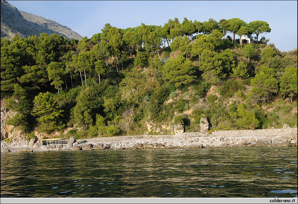 Mare nord 291009 017.jpg