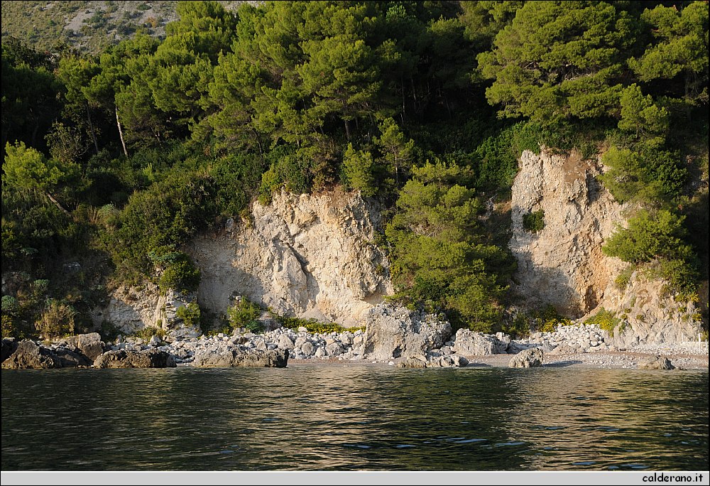 Mare nord 291009 018.jpg