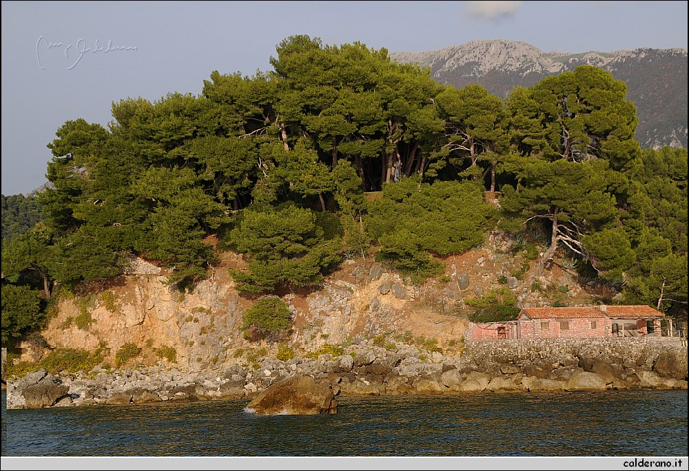 Mare nord 291009 028.jpg