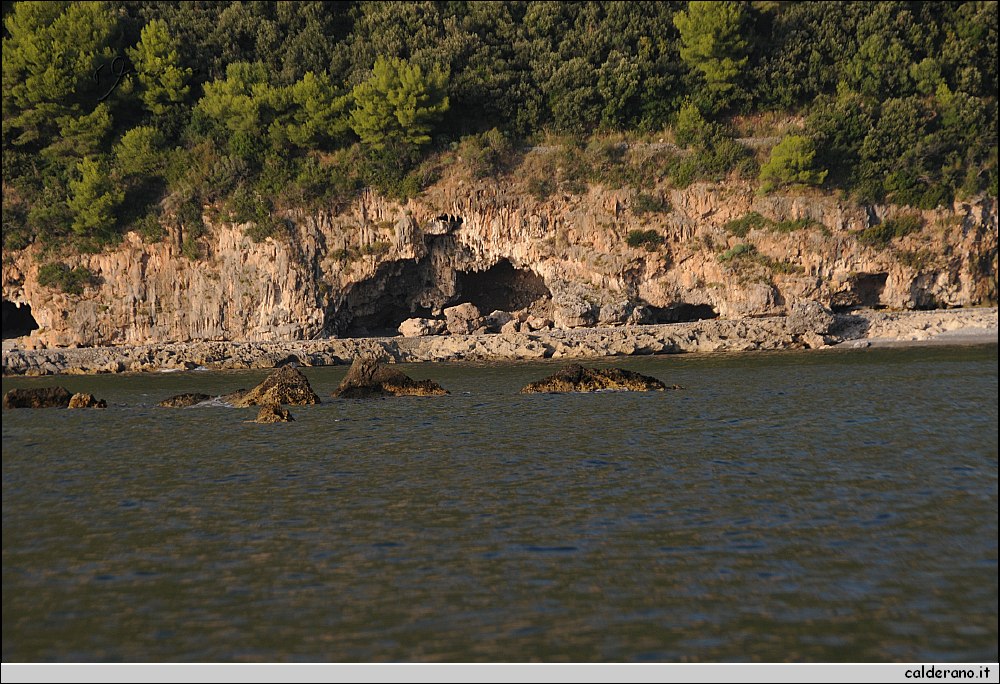 Mare nord 291009 030.jpg