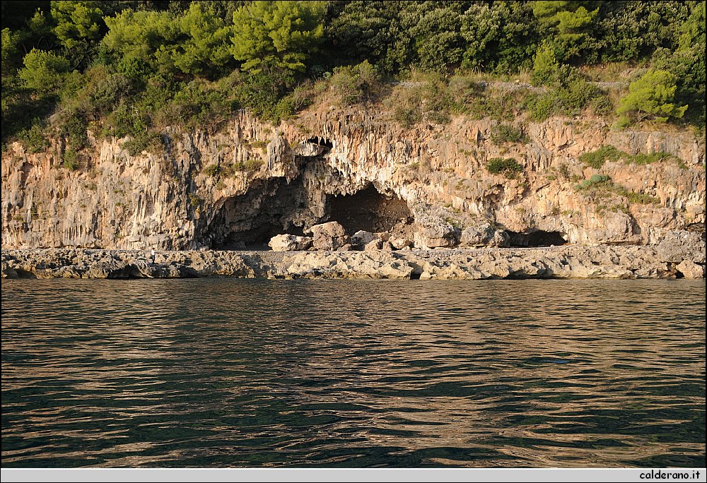 Mare nord 291009 042.jpg