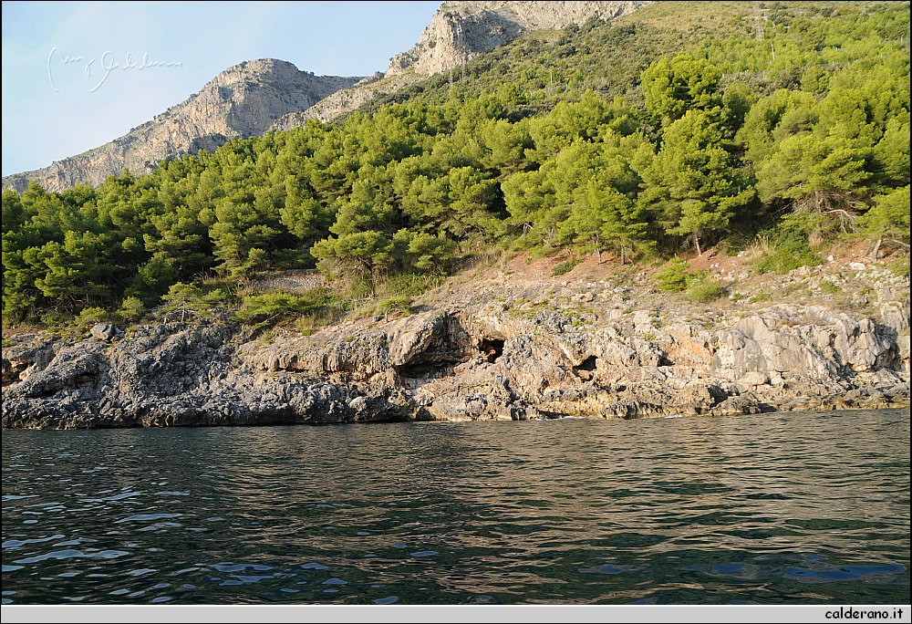 Mare nord 291009 047.jpg
