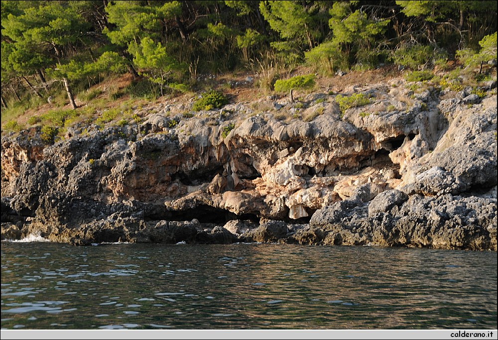 Mare nord 291009 048.jpg