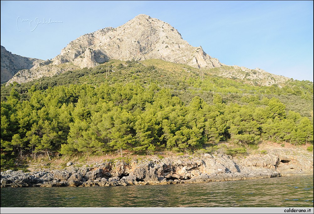 Mare nord 291009 050.jpg