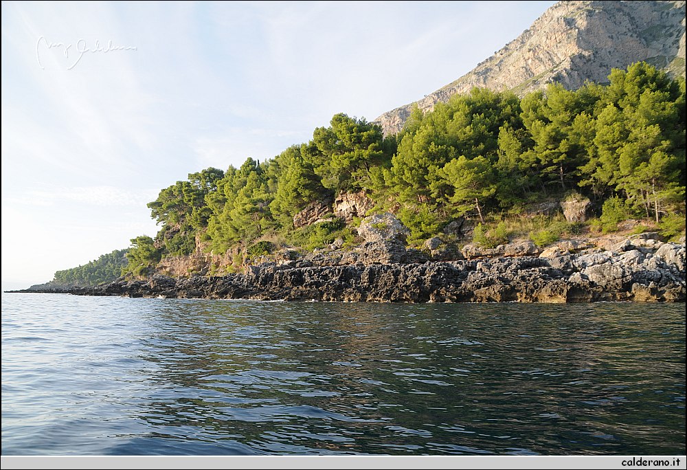 Mare nord 291009 053.jpg