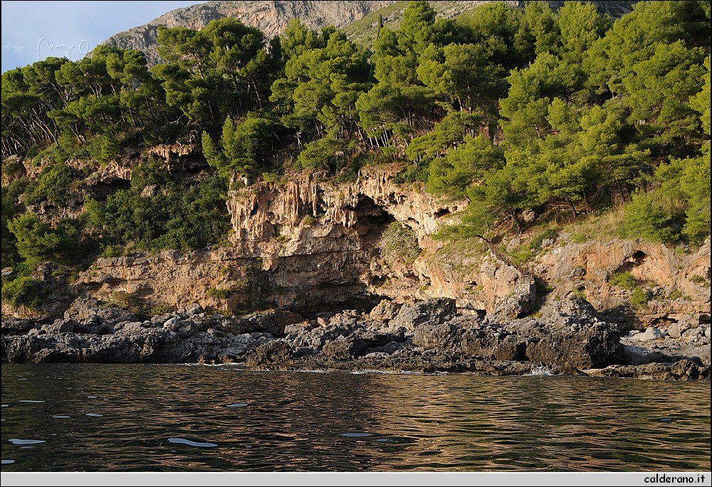 Mare nord 291009 057.jpg