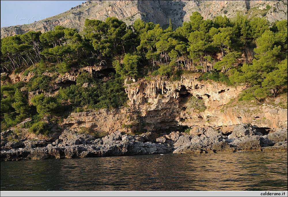 Mare nord 291009 059.jpg