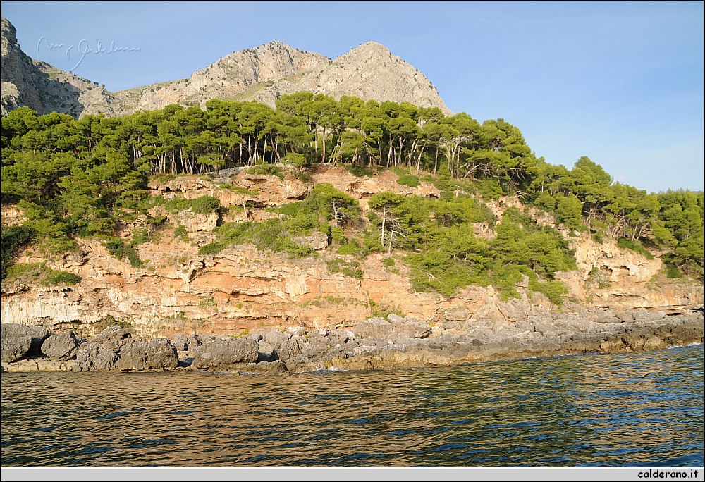 Mare nord 291009 062.jpg