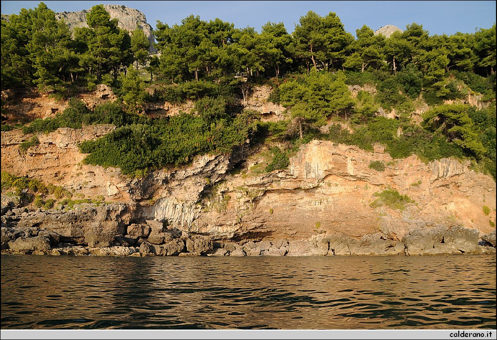 Mare nord 291009 065.jpg