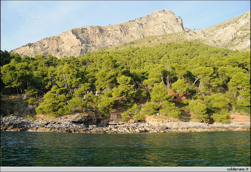 Mare nord 291009 069.jpg