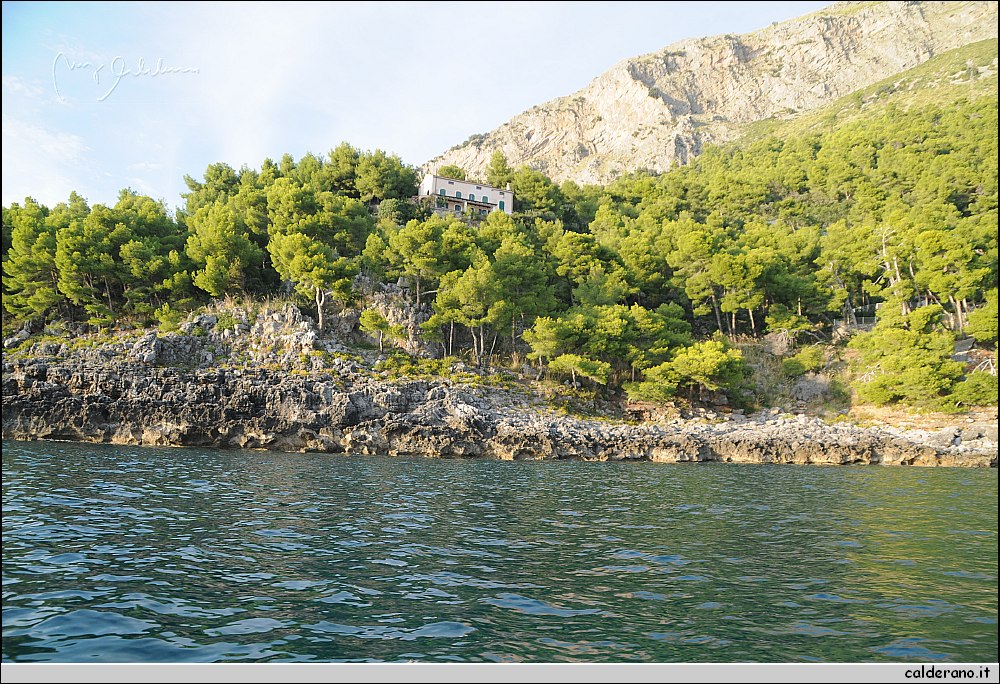 Mare nord 291009 070.jpg