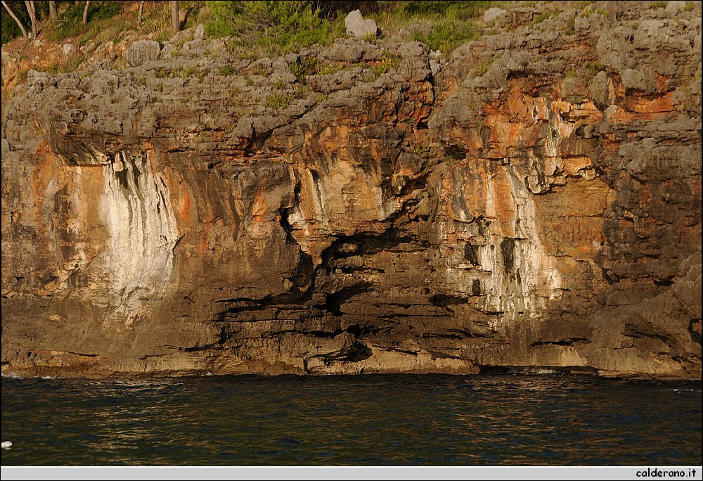 Mare nord 291009 077.jpg