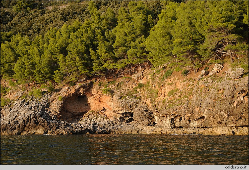 Mare nord 291009 079.jpg