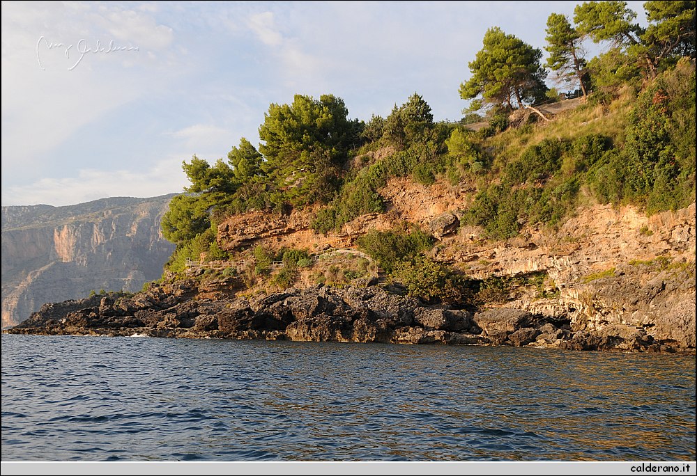 Mare nord 291009 099.jpg
