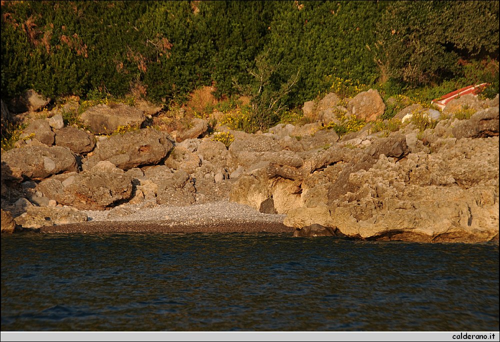 Mare nord 291009 109.jpg