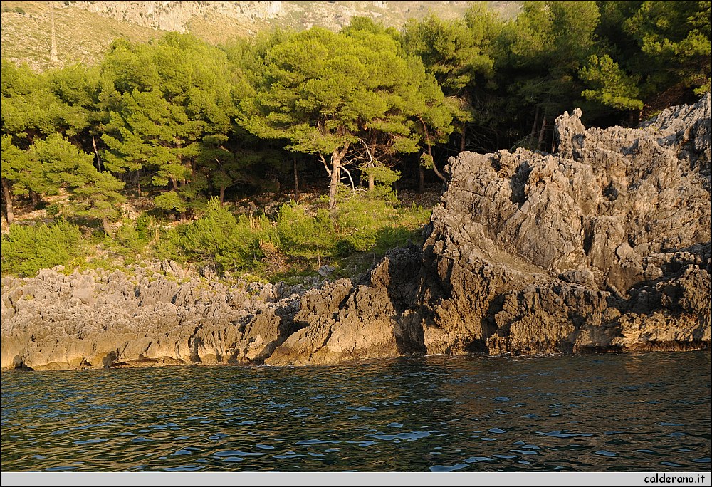 Mare nord 291009 117.jpg