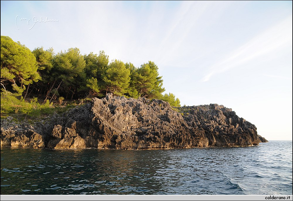 Mare nord 291009 118.jpg