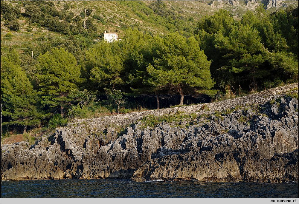 Mare nord 291009 120.jpg