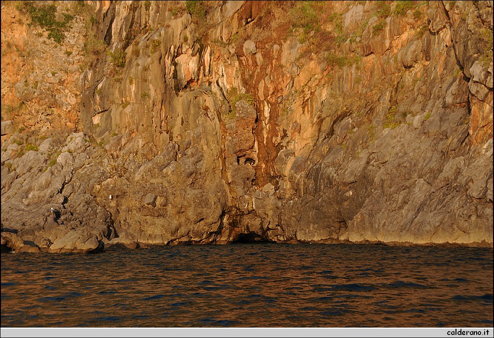 Mare nord 291009 130.jpg