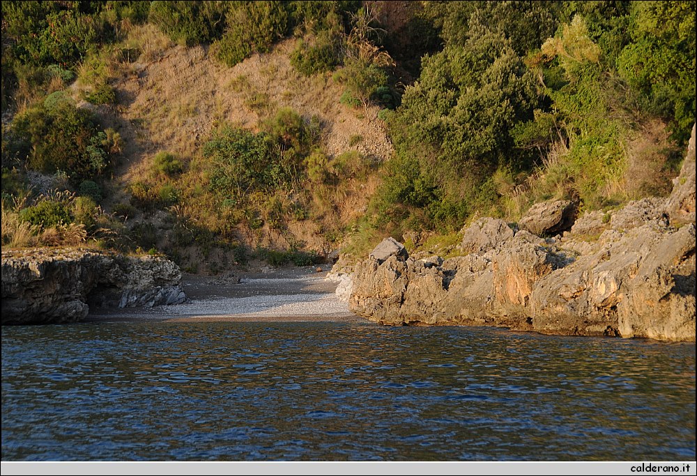 Mare nord 291009 147.jpg