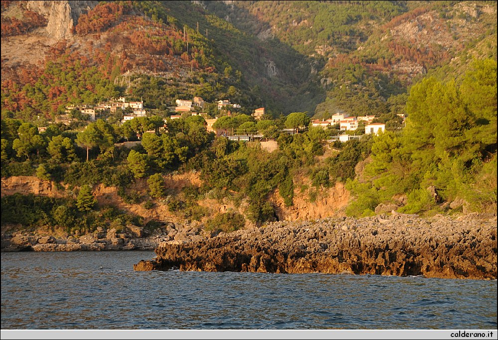 Mare nord 291009 167.jpg