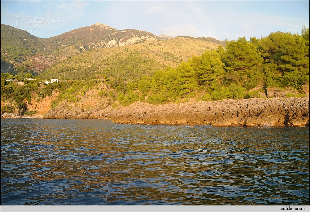 Mare nord 291009 169.jpg