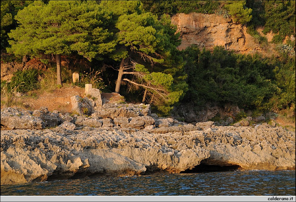 Mare nord 291009 177.jpg