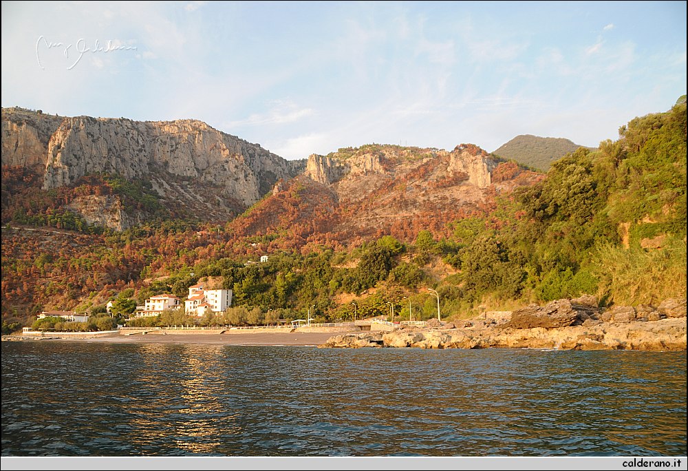 Mare nord 291009 179.jpg