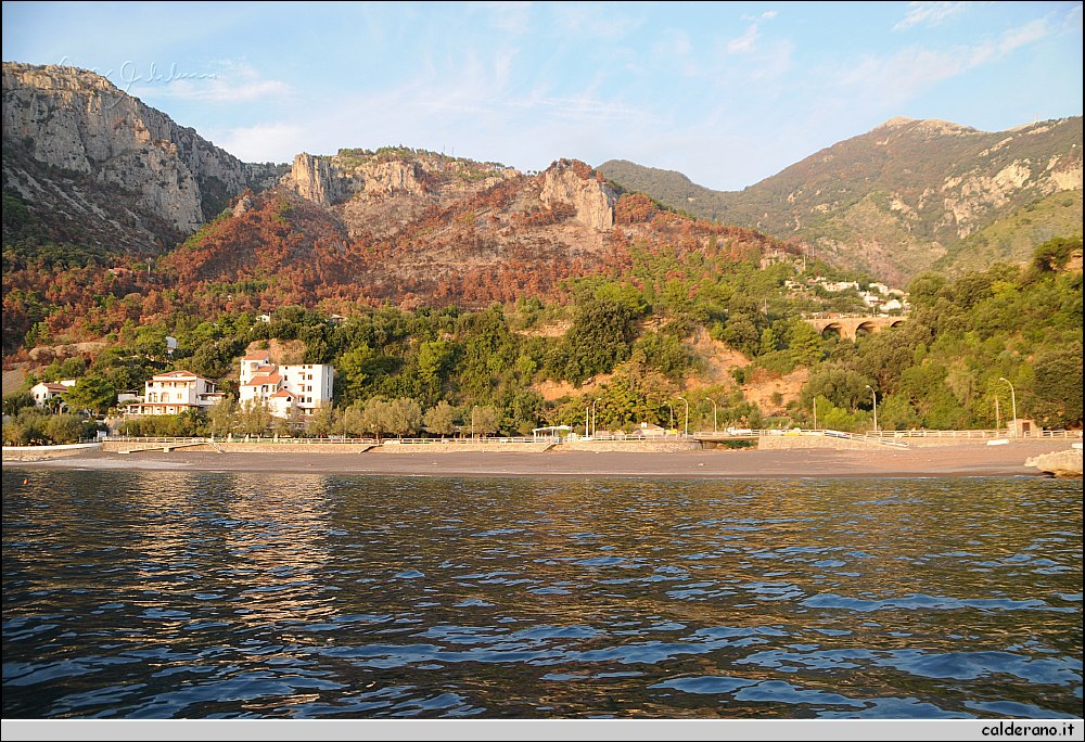 Mare nord 291009 180.jpg