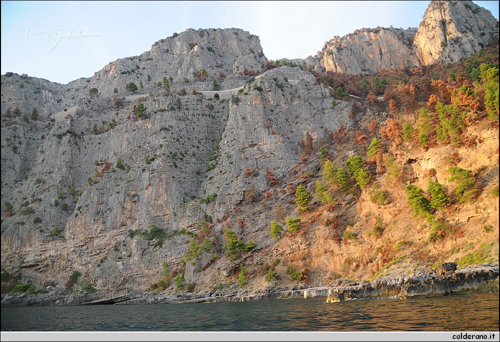 Mare nord 291009 185.jpg